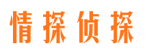 依安市婚外情调查